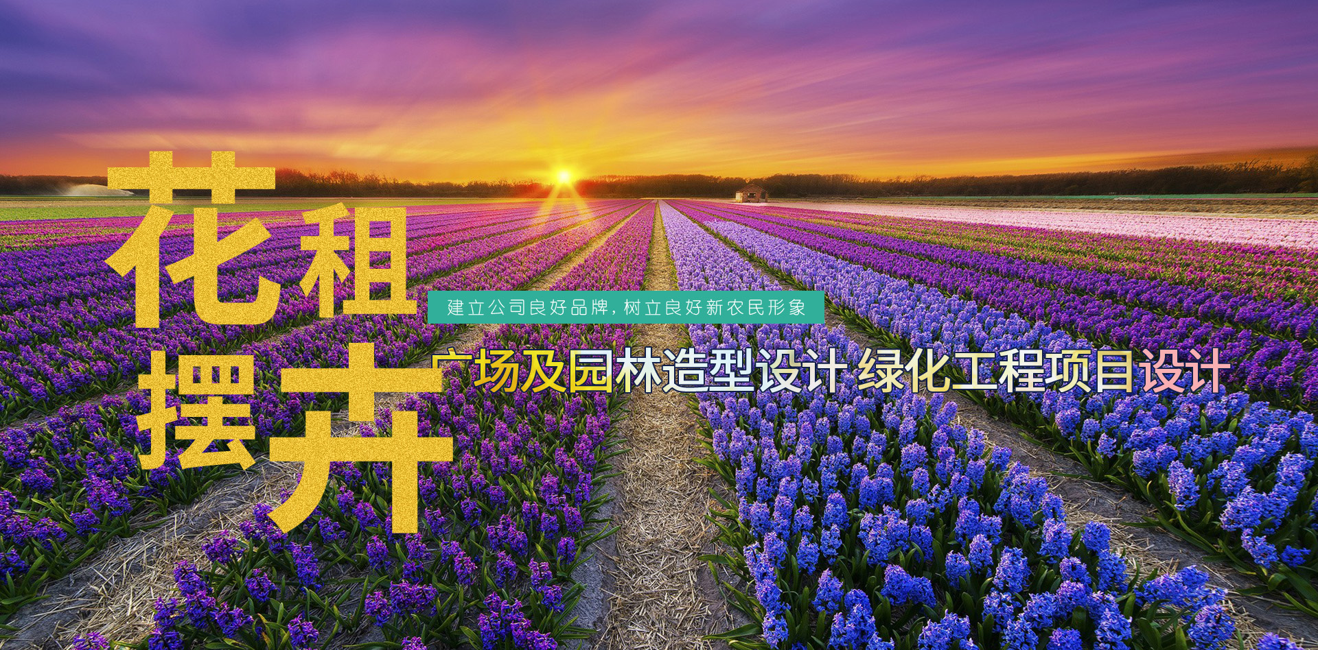 山東諾億農業(yè)發(fā)展有限公司